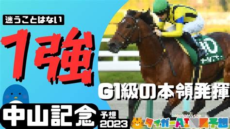 中山記念2023危険な人気馬と狙う穴馬「相手で選ぶべき馬のヒントとは？」【タイガーai競馬予想】 競馬動画まとめ