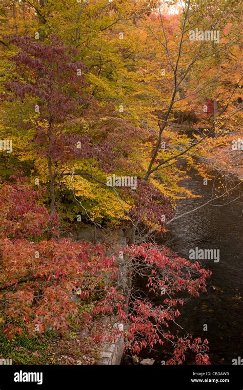 The Bronx River In Fall Autumn Flowing Through New York Botanic