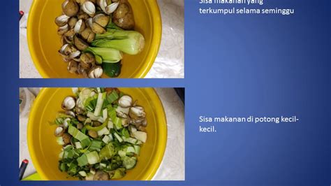 Cara Buat Baja Kompos Dari Sisa Makanan Eastonrosmccall
