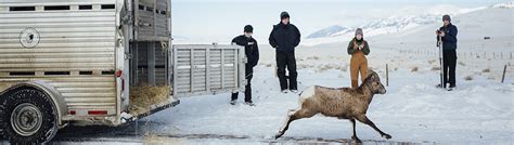 Organismal Biology - Academics | Montana State University