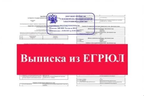 Как получить выписку из ЕГРЮЛ с ЭЦП налоговой — ЭЦП Эксперт
