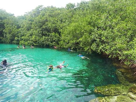 From Riviera Maya: 3 Cenotes Snorkeling Tour