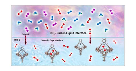 Porous Liquids Computational Design For Targeted Gas Adsorption ACS