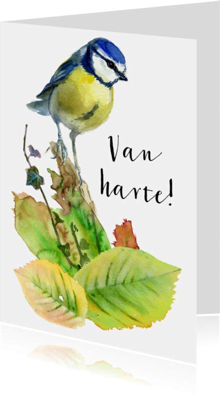 Van Harte Met Een Pimpelmeesje Kaartje Go Bloemen Tekenen