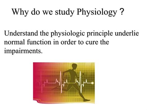 Physiology Definition Ppt