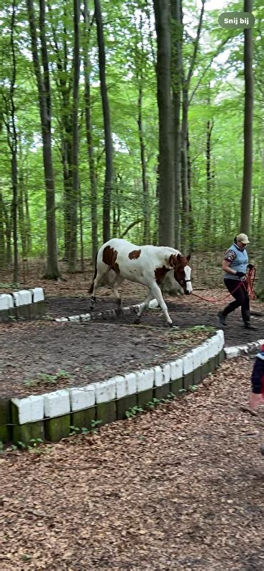 Eerste Uitje Naar Het Bos • Boktnl