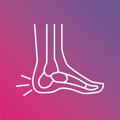 Posterior Heel Spur Anchorage Foot And Ankle Clinic