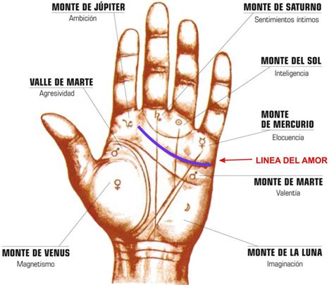 QUIROMANCIA Palm Reading Palmistry Tarot