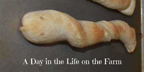 A Day In The Life On The Farm Breadstick Snakes Breadbakers
