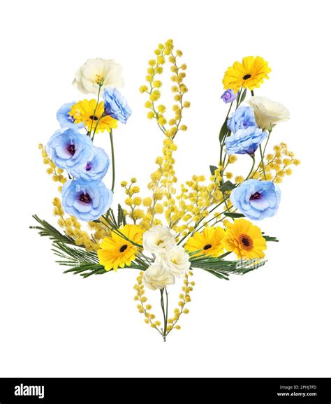 Coat of arms of Ukraine made with beautiful flowers on white background ...