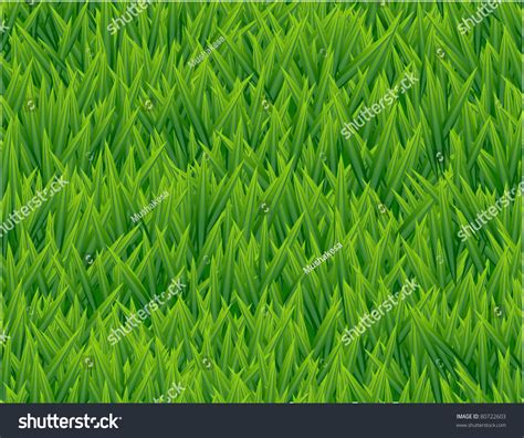 Fresh Grass Seamless Vector Pattern Stock Vector Royalty Free 80722603 Shutterstock