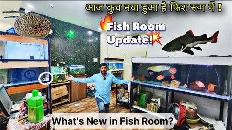 Fish Room Update Whats New In Fish Room Youtube