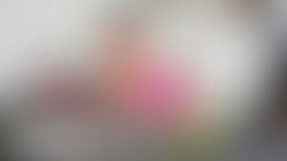 Latina Maid Camila Marin Oiled On Her Fake Tits Hardcore Banged By Boss Mamacitaz Vid Os