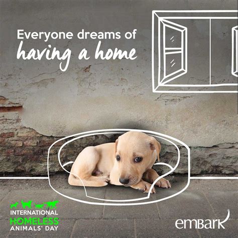 Embark Passion