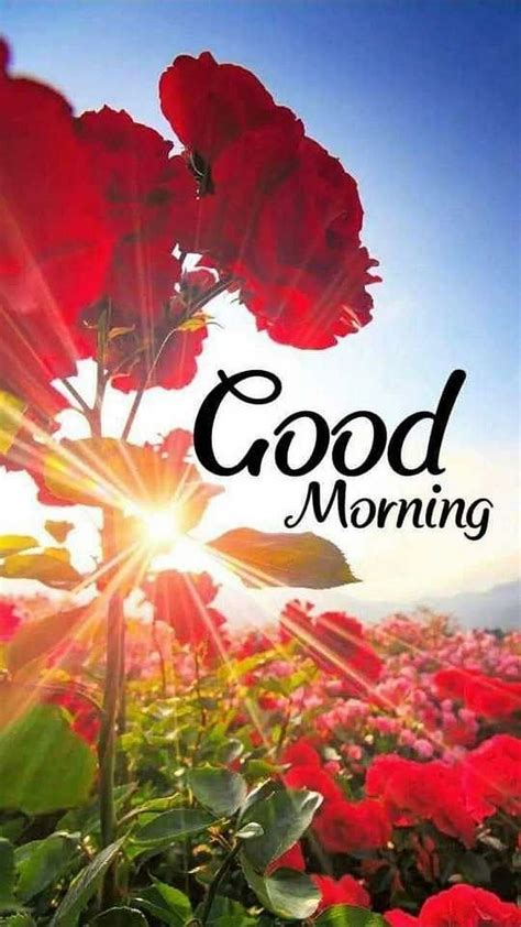 Collection Of Over 999 Beautiful Good Morning Hd Images With Flowers In