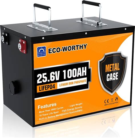 Eco Worthy 24V 100Ah LiFePO4 Lithium Battery BMS 3000 Deep 53 OFF