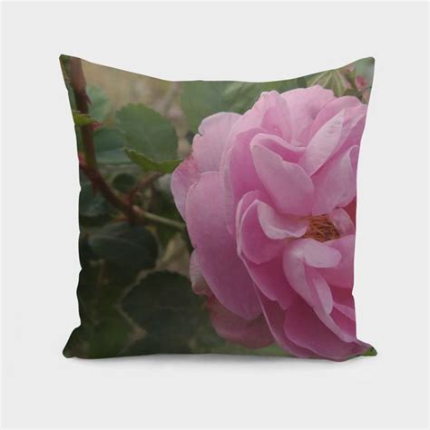 Discover Pink Rose Exclusive Edition Throw Pillow By Anastasia Amaro