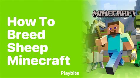 How To Breed Sheep In Minecraft A Quick Guide Playbite