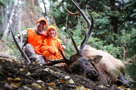 5 Tips For Beginning Elk Hunters Colorado Outdoors Online