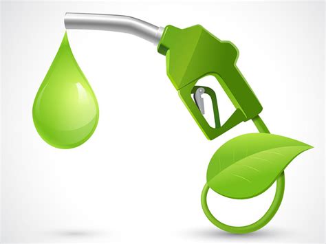 The Difference Between Biodiesel and Renewable Diesel - PacStatesPetro