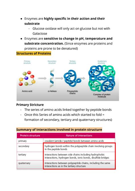 Solution Biochemistry Enzymes Proteins Cofactors And Enzyme Reactions