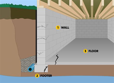 Signs You Need Professional Basement Waterproofing Services Basement