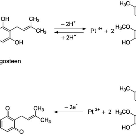 Schematic Of The Ams Hydrogenation Setup Download Scientific Diagram