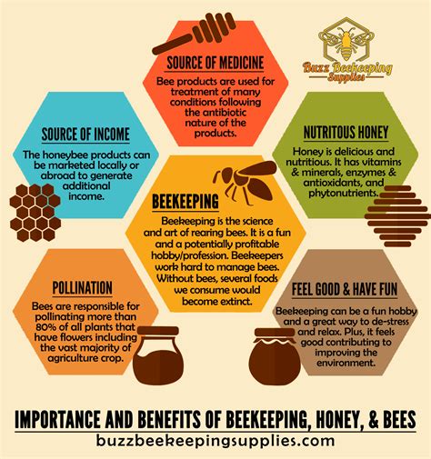 Importance and Benefits of Beekeeping, Honey, and Bees - Buzz ...