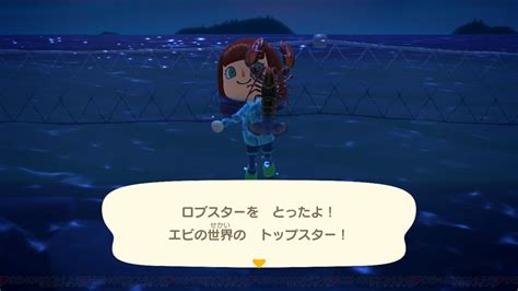 ＜画像1518＞12月に捕っておきたいサカナと海の幸を調べてみた！【あつ森日記＃170】 電撃オンライン