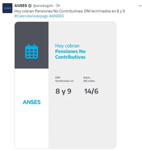 La Anses Confirm Aumentos Para Siete Grupos En Julio Cu Les Son