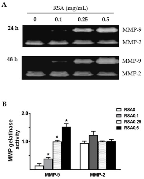 Ijms Free Full Text Endocytosis Of Albumin Induces Matrix