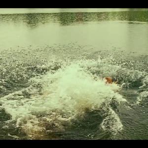 My Collection Of Nude Movies TV Clips Page LPSG