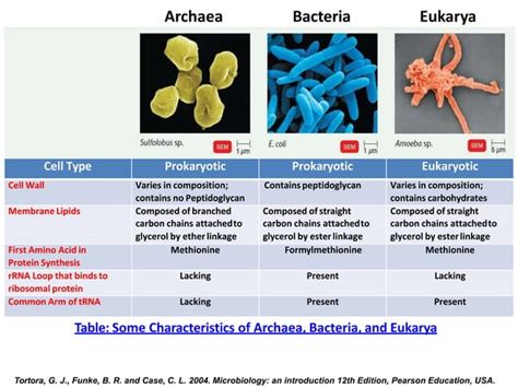 Introduction To Microbial Diversity PPT