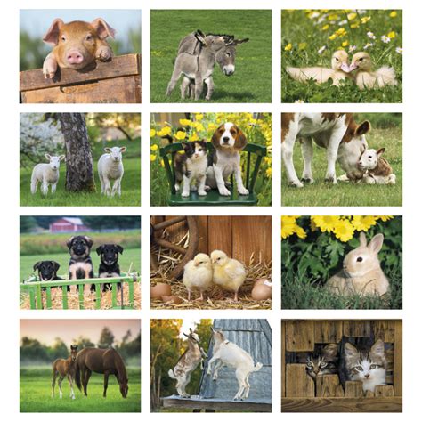 4imprint.com: Baby Farm Animals Calendar - Stapled 112270-ST