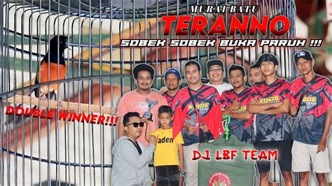 Murai Batu TERANNO Debutan Baru DJ LBF TEAM Aksinya Mulai Geger