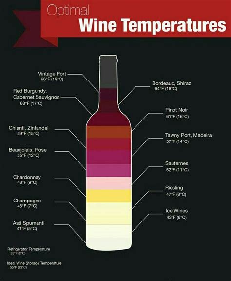 Know The Chill The Optimal Wine Temperature Makes A Difference