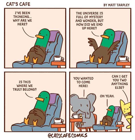 My Wholesome Cats Caf Comics That Might Just Make Your Day New