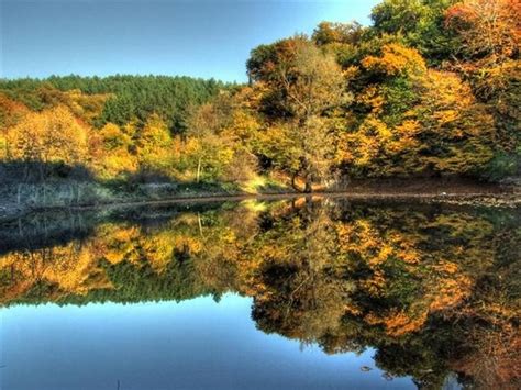 National Park Fruska Gora | Fruska Gora | Pinterest
