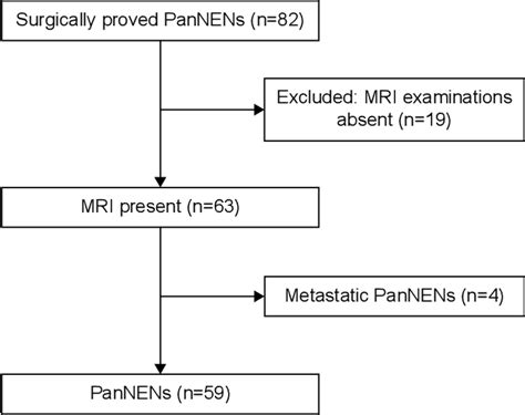 Figure 1 From Pancreatic Neuroendocrine Neoplasms At Magnetic Resonance