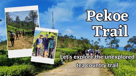 Pekoe Trail By Serendipity Trails Sri Lanka Youtube