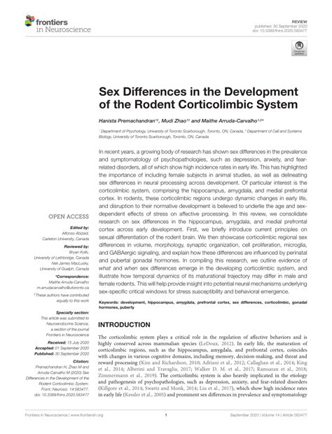 PDF Sex Differences In The Development Of The Rodent Corticolimbic System