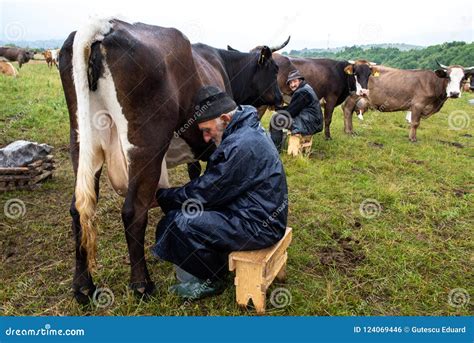 Milk Man On The Country Side Hand Milking Techniques For Cows