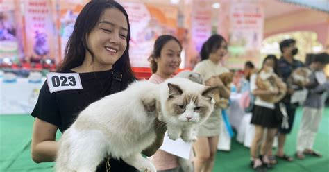 Hot Girl Mang Th C Ng Ngh N Usd N Ng Y H I C O Tphcm B O D N Tr