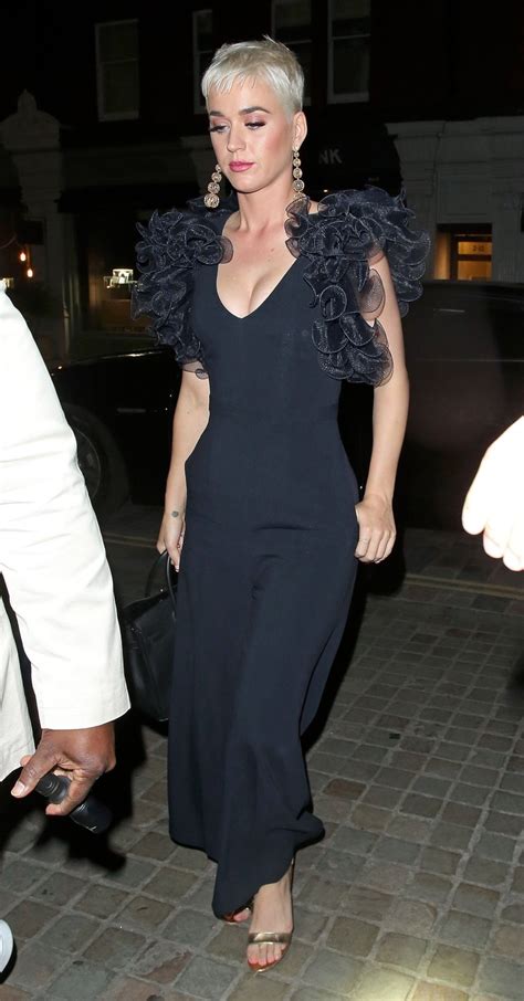 Katy Perry Boobs Hot Celebs Home