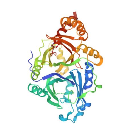 Rcsb Pdb X Crystal Structure Of Athppd Y Complex