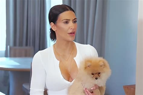 Kim Kardashian revolta web ao mostrar onde cachorros dormem em mansão