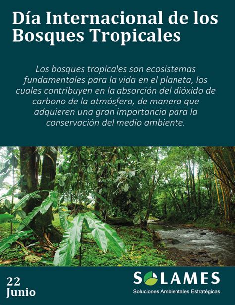 D A Internacional De Los Bosques Tropicales Solames