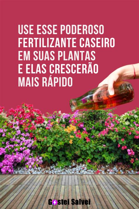 Use esse poderoso fertilizante caseiro em suas plantas e elas crescerão