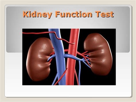 Kidney Function test