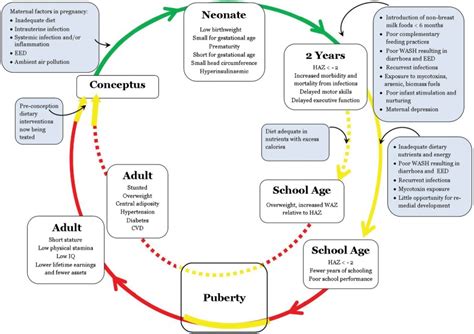 The Stunting Syndrome In Developing Countries Abstract Europe Pmc